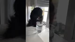 Бони стайл неповторим! 😸💦 С этой девушкой скучно не бывает. 😻