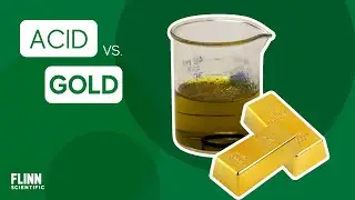 Acid Vs Gold | FlinnScientific