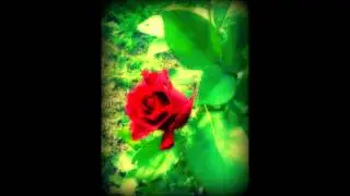 I won't give up by Jason Mraz Acapella cover