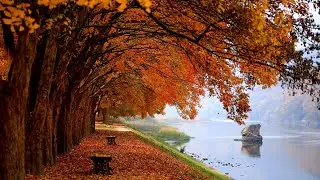 Mozart - Piano Concerto  No. 23-2, A Major, KV. 488, Adagio