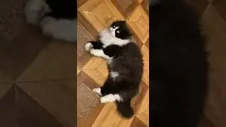 маму кусь