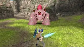 Toram Online Garnache (Valentine boss 2021) 1h shield solo