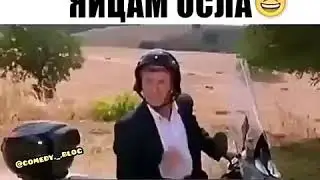 Лайфхак, как узнать время по яйцам осла!
