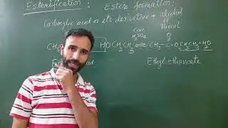 Esterification / mechanism / order of reactivity / Schotten Baumann reaction / class 12