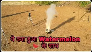 Watermelon vs Sutli Bomb | क्या होगा अगर Watermelon मे सुतली बम को लगाया?