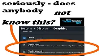 WINDOWS GRAPHIC SETTINGS YOU MUST SELECT FOR MSFS