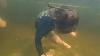 Fish feeding 2