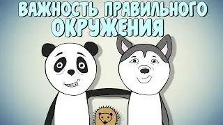 Важность правильного окружения