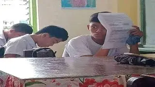 Try Not To Laugh Challenge 💀 (Part 17)