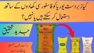 Can We Use Zabardast Urea with Phosphatic Fertilizers-Latest Research | Cyber Agri Extension |
