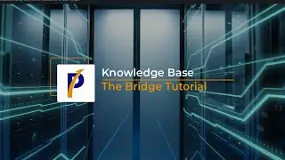The Bridge Tutorial - Knowledge Base