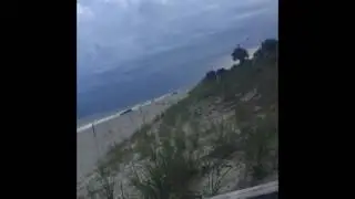 Beach fun 2017