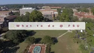 What to do @ FSU: All-Night Yahtzee