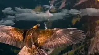 Алакөл ауданы