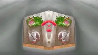 Аdvertising  Реклама Китикет Kitekat   Борис поймал пчелу In G Major 4 And CoNfUsIoN
