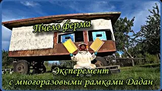 Пчело ферма. Эксперемент с рамками многоразового использования.