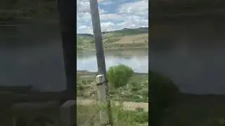 Несу цветы