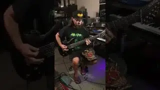 What if I played Metallica on an 8-string? 