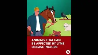 How to Protect Yourself and Your Pet from Ticks | Merck Manual for Pet Health