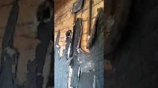 обзор заброшенного дома #23лесозовод 🔥