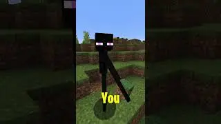 How To Never Die To Enderman Again! #minecraftshorts