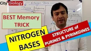 NITROGEN BASES ; PURINES & PYRIMIDINES : Best memory trick for NEET/AIIMS- PMT
