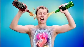 L' ALCOOL DANS LE CORPS