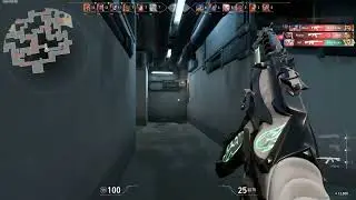 VALORANT - White Reaver Vandle Gameplay 2022