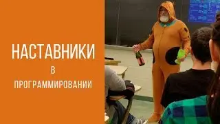 Виды наставников в программировании