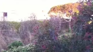 Outdoor pan - direct upload
