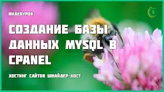 Создание базы данных MySQL в cPanel