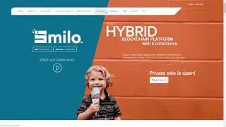 Обзор проекта Smilo. (author AlexDuma)