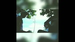 NAVICULA "di rimba" musik cover