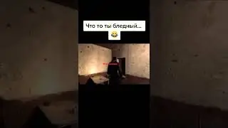 Что то ты сталкер бледный 