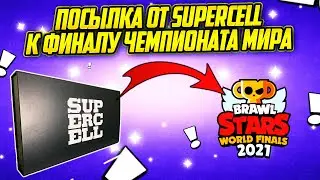 Подарок От Supercell К Финалу Чемпионата Мира. Brawl Stars