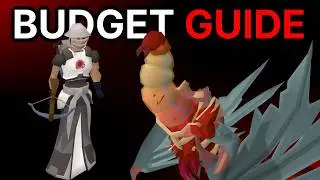 Beginner Budget MAGGOT KING GUIDE
