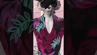 Furry MMD Dance #furry #vrchat #vtuber #vrc #vr #memes #dance #mmd #mmddance #прикол #фурри #врчат
