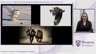 Fear of predators has PTSD-like effects on brain and behaviour in wild animals - Lauren Witterick