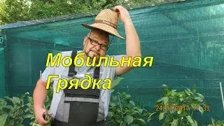 Грядка теплая грядка высокая грядка чудо грядка