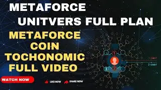 Unitvers Full Plan Presentation & Force Coin🪙 Tochonomic #binance #forcecoin #cryptocurrency #nft
