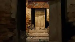 Stray cat in an abandoned house. Thessaloniki, Greece