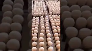 #cosmeticbrushfactory #beautybrush #makeupbrushfactory #makeupbrush #cosmetics #beautytools