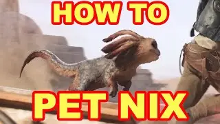 Star Wars Outlaws: How to Pet Nix