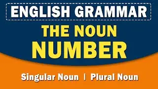 The Noun Number | English Grammar | Learn with examples | Home Revise