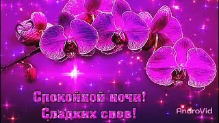 Спокойной ночи всем!
