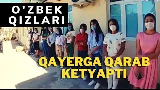 SHOK! BU QIZLAR ERGA TEGISH UCHUN KAREYAGA KETYAPTIMI