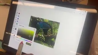 Notability "Photoshop"