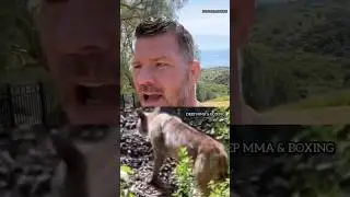 Bisping fights off Bobcat To save his dog  #ufc