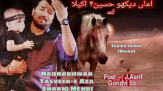 Husain Akela Hai | Shariq Mehdi | New Nauha 2021..