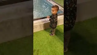My #baby in Mandhi house 🥰#shortvideo#youtube#cute#video #viral#viralvideo#subscribe#shorts #short